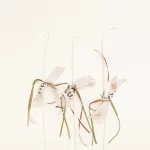 ΣΕΤ ΒΑΠΤΙΣΗΣ ΕΙΔΗ ΔΕΙΝΟΣΑΥΡΩΝ - Image 3